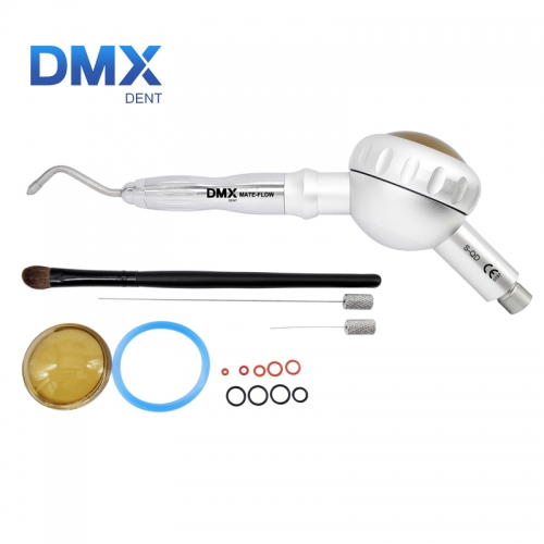 DMXDENT S-QD Dental Hygienist Air Flow Polisher Prophy Mate For NSK QJ Coupling