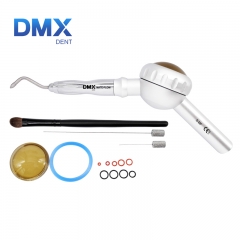 DMXDENT S-MF Dental Hygienist Air Flow Polisher Prophy Mate For KAVO Multiflex Coupling