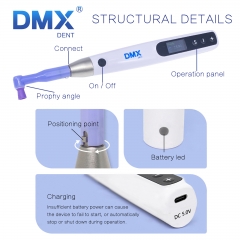 DMXDENT Dental Cordless Hygiene Prophy Handpiece For polish+2pc Prophy Angles