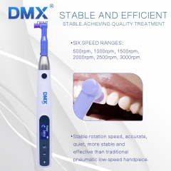 DMXDENT Dental Cordless Hygiene Prophy Handpiece For polish+2pc Prophy Angles