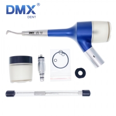 DMXDENT Dental Air Flow Teeth Tooth Polisher Handpiece Hygiene Prophy Jet 2/4 Hole White