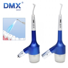 DMXDENT Dental Air Flow Teeth Tooth Polisher Handpiece Hygiene Prophy Jet 2/4 Hole White